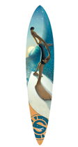 pintail43 pintail43