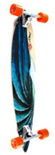 pintail40 pintail40