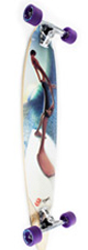 pintail40 pintail40