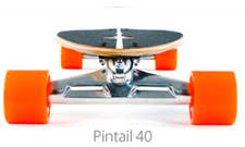pintail 40