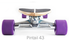 pintail43 pintail43