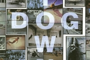 Dogtown And The Z-Boys